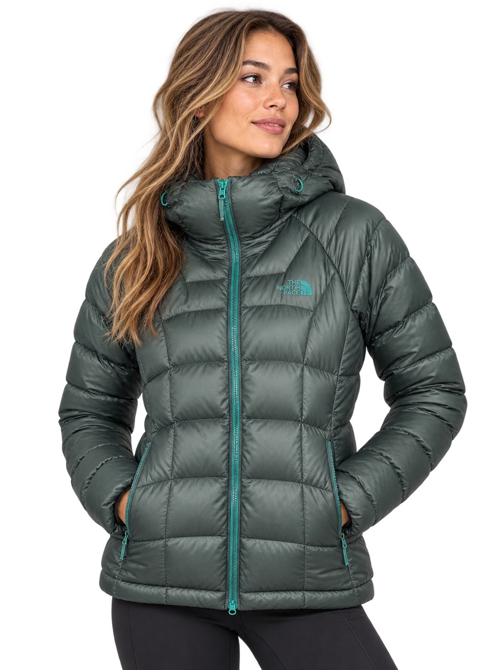 The North Face Immaculator Down Parka 800 Down